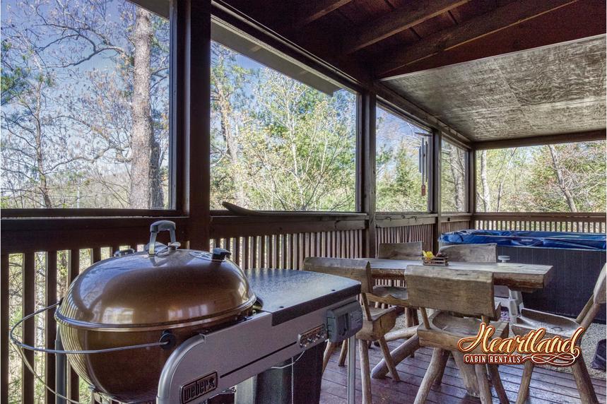 Back deck eating Area